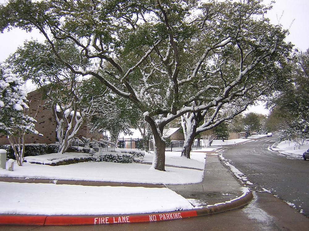 First Day of Spring Brings Snow