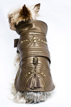 MANDRED OF SWEEDEN Dog coat