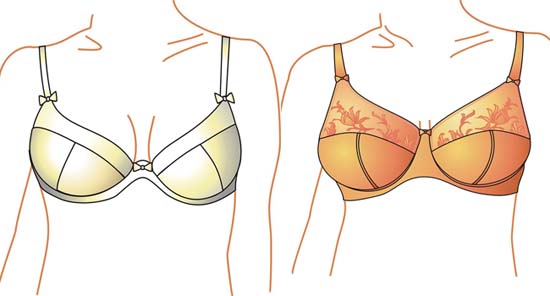 Is Finding the Perfect Bra Possible?