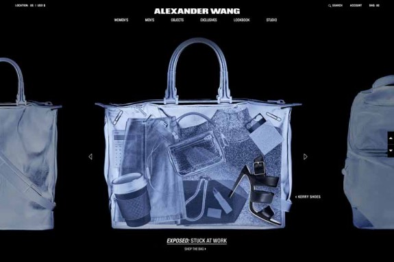 alexander wang website (1)