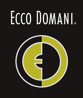 Timo Weiland, DEGEN and NOVIS named Ecco Domani 2014 Fashion Week Grant Winners