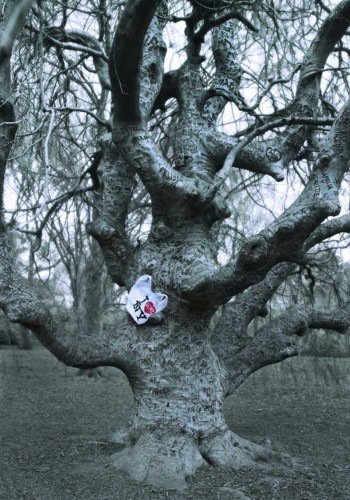 Elie Laurent Badessi - The Tree of Love Brooklyn 2012