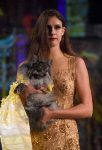 Anthony Rubio Pet Couturier
