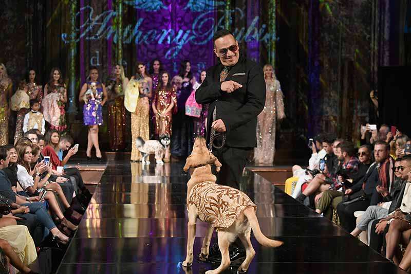 Anthony Rubio Spring 2019: Pet Couturier
