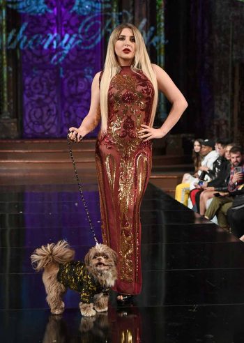 Anthony Rubio Pet Couturier