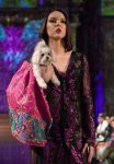 Anthony Rubio Pet Couturier